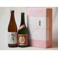 プレミアムな贈り物セット 本格芋焼酎 夢のひととき720ml 原酒風憚(ふうたん)720ml