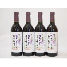 コンコード種から生まれた甘口の赤ワインセット 信州産100% 酸化防止剤無添加(長野県)720ml×4