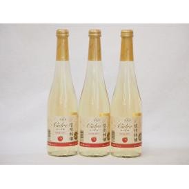 信州林檎 シードル スパークリングワインセット 信州産100% やや甘口(長野県)500ml×3