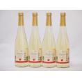 信州林檎 シードル スパークリングワインセット 信州産100% やや甘口(長野県)500ml×4