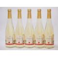 信州林檎 シードル スパークリングワインセット 信州産100% やや甘口(長野県)500ml×5