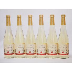 信州林檎 シードル スパークリングワインセット 信州産100% やや甘口(長野県)500ml×6