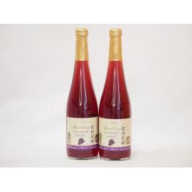 信州巨峰 スパークリングワインセット 信州産100% やや甘口(長野県)500ml×2
