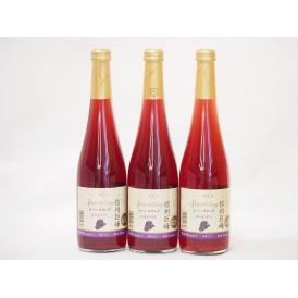 信州巨峰 スパークリングワインセット 信州産100% やや甘口(長野県)500ml×3