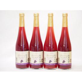 信州巨峰 スパークリングワインセット 信州産100% やや甘口(長野県)500ml×4