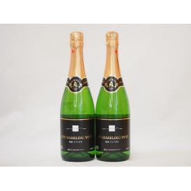 塩尻ナイアガラ100% スパークリングワインセット白 やや甘口(長野県)720ml×2