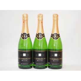 塩尻ナイアガラ100% スパークリングワインセット白 やや甘口(長野県)720ml×3