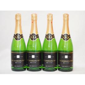 塩尻ナイアガラ100% スパークリングワインセット白 やや甘口(長野県)720ml×4