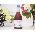 信州巨峰フルーツワイン alc4% 甘口(長野県)500ml×1 