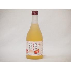 信州りんごフルーツワイン alc4% 甘口(長野県)500ml×1