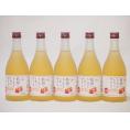 信州りんごフルーツワインセット alc4% 甘口(長野県)500ml×5