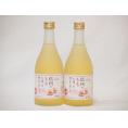 信州ももフルーツワインセット alc4% 甘口(長野県)500ml×2
