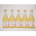 信州ももフルーツワインセット alc4% 甘口(長野県)500ml×5