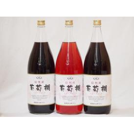 信州産葡萄棚セット 赤ワイン×2本  ロゼワイン×1本 中口(長野県)1800ml×3