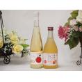 日本のシードルセット Cidre 青森弘前産りんご使用(京都府) 信州りんごフルーツワイン(長野県)500ml×2