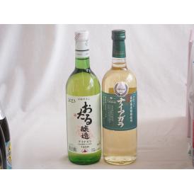 国産葡萄100%ナイアガラ甘口白ワインセット(北海道おたる1本 長野県信州1本) 計2本 