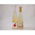 国産りんご100％シードル特集(青森広前市Ｃider 信州林檎)500ml×2本
