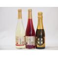 国産甘口スパークリングワイン3本セット 信州産100%林檎500ml 信州産100％巨峰500ml 鹿児島県薩摩スパークリングゆずどん375ml 計3本
