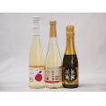 国産甘口スパークリングワイン3本セット 信州産100%林檎500ml Cidre500ml 鹿児島県薩摩スパークリングゆずどん375ml 計3本