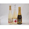 国産甘口スパークリングワイン3本セット 信州産100%林檎500ml Cidre500ml 鹿児島県薩摩スパークリングゆずどん375ml 計3本