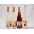 国産甘口ワイン4本セット 信州産100%林檎×2本 信州産100%巨峰 Cidre 計500ml×4本