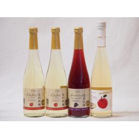 国産甘口ワイン4本セット 信州産100%林檎×2本 信州産100%巨峰 Cidre 計500ml×4本