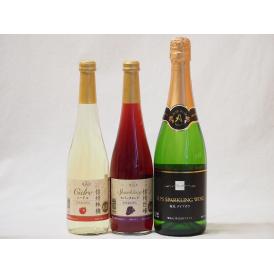 国産甘口スパークリング3本ワイン 信州産100%林檎500ml 信州産100%巨峰500ml 塩尻ナイアガラ720ml 計3本セット