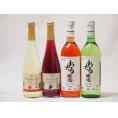 国産甘口4本ワイン 信州産100%林檎500ml 信州産100%巨峰500ml 北海道おたるナイアガラ720ml キャンベルアーリ720ml 計4本セット
