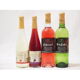 国産甘口4本ワイン 信州産100%林檎500ml 信州産100%巨峰500ml 勝沼甲州遅摘み白720ml 勝沼甲州遅摘みロゼ720ml 計4本セット