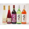 国産100％北海道おたる＆長野県信州産ワイン5本セット  おたる白 ロゼ 赤720ml×3本 林檎シードル 巨峰スパークリング500ml×2本