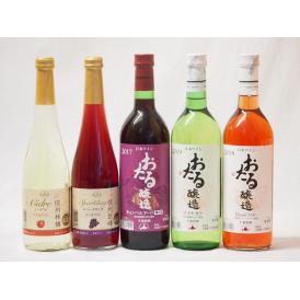 国産100％北海道おたる＆長野県信州産ワイン5本セット  おたる白 ロゼ 赤720ml×3本 林檎シードル 巨峰スパークリング500ml×2本