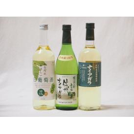 甘口白葡萄ワイン3本セット (信州ナイアガラ 長野県産葡萄使用ナイアガラ からだにやさしいし白葡萄酒)720ml×3本