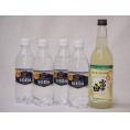 家のみ本格酎ハイ5本セット(サントリーソーダ 強炭酸水ペット 富士白レモンチューハイの素 25度) 