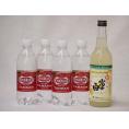 家のみ本格酎ハイ5本セット(ウイルキンソンタンサン 炭酸水ペット 富士白レモンチューハイの素 25度