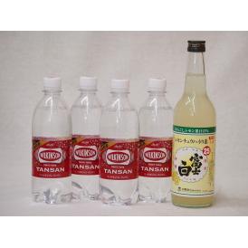 家のみ本格酎ハイ5本セット(ウイルキンソンタンサン 炭酸水ペット 富士白レモンチューハイの素 25度