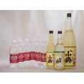 家のみ本格酎ハイ9本セット(ウイルキンソンタンサン 炭酸水ペット 小鶴 サワー専用ゆずレモン 25度