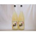 2本セット(富士白レモンチューハイの素 25度) 1800ml×2本