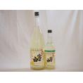 酎ハイの素2本セット(富士白レモンチューハイの素 25度) 600ml×1本 1800ml×1本