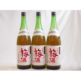 梅酒3本セット(青梅使用小正の梅酒(鹿児島)) 1800ml×3本