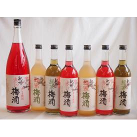 カラフル梅酒7本セット(赤しそ赤い梅酒(和歌山) 蜂蜜梅酒(和歌山) 緑茶梅酒(和歌山)) 1800