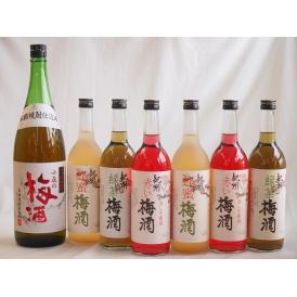 カラフル梅酒7本セット(青梅使用小正の梅酒(鹿児島) 赤しそ赤い梅酒(和歌山) 蜂蜜梅酒(和歌山) 