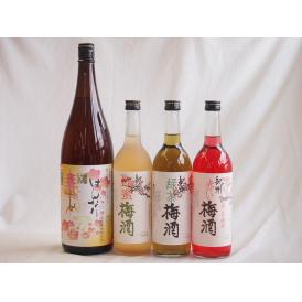 カラフル梅酒4本セット(赤しそ赤い梅酒(和歌山) 米焼酎仕込はんなり梅酒(京都) 蜂蜜梅酒(和歌山)