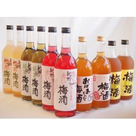 梅酒10本セット(おばあちゃんの梅酒 芋焼酎仕込五代梅酒(鹿児島) 赤しそ赤い梅酒(和歌山) 蜂蜜梅