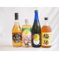 豪華梅酒4本セット(芋焼酎仕込五代梅酒(鹿児島) 樽熟梅酒天空の月(大分) 芳醇ブランデー仕立チョー