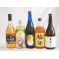 豪華梅酒5本セット(芋焼酎仕込五代梅酒(鹿児島) 樽熟梅酒天空の月(大分) 梅酒 鶯の杜(奈良) 芳