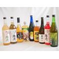 豪華梅酒9本セット(芋焼酎仕込五代梅酒(鹿児島) 宇治玉露梅酒(京都) 赤しそ赤い梅酒(和歌山) 樽