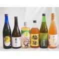豪華梅酒6本セット(芋焼酎仕込五代梅酒(鹿児島) 宇治玉露梅酒(京都) 高千穂産梅使用熟成梅酒 樽熟