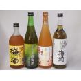 豪華梅酒4本セット(芋焼酎仕込五代梅酒(鹿児島) 宇治玉露梅酒(京都) 高千穂産梅使用熟成梅酒 緑茶