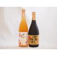 梅酒2本セット(古酒仕込み梅酒 高千穂産梅使用熟成梅酒) 720ml×2本