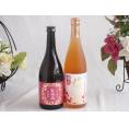 梅酒2本セット(香る南高　紅南高20度(和歌山) 高千穂産梅使用熟成梅酒) 720ml×2本